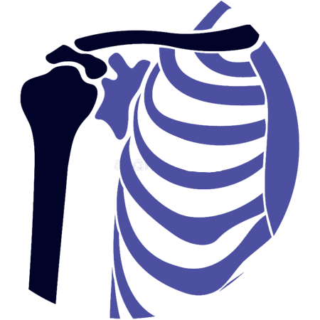 Cairns Orthopaedic Surgeon